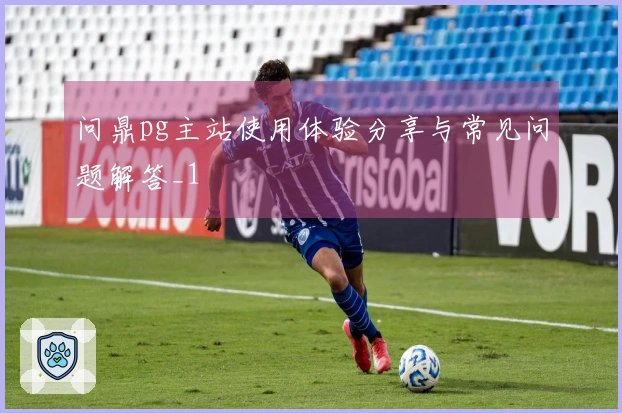 问鼎pg主站使用体验分享与常见问题解答_1