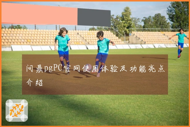 问鼎pgPC官网使用体验及功能亮点介绍