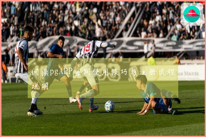 问鼎pgAPP官网使用技巧与注册流程说明
